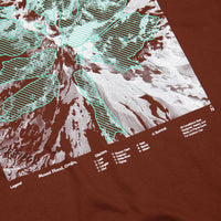 Nike ACG Glacier T-Shirt - Oxen Brown thumbnail