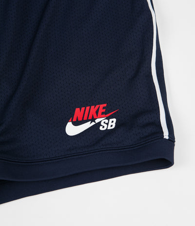 Nike SB Future Court Shorts - Obsidian