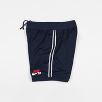 Nike SB Future Court Shorts - Obsidian thumbnail