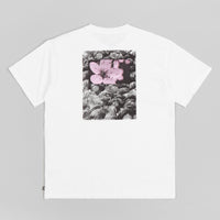 Nike SB Natural Borders T-Shirt - White thumbnail