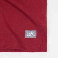 Nike SB Premium Sustainable T-Shirt - Pomegranate / Sail thumbnail