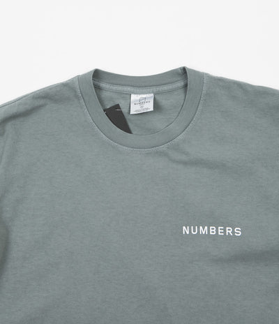 Numbers 12:45 Angel T-Shirt - Sage