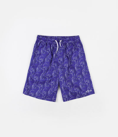 Polar Art Swim Shorts - Blue