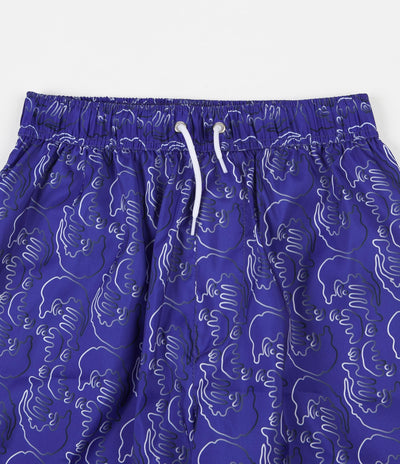 Polar Art Swim Shorts - Blue