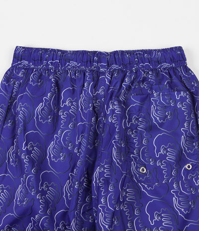 Polar Art Swim Shorts - Blue