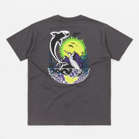 Polar Mt. Fuji T-Shirt - Graphite thumbnail