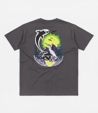 Polar Mt. Fuji T-Shirt - Graphite