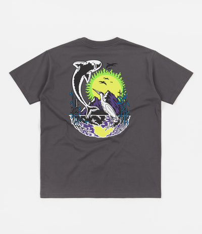 Polar Mt. Fuji T-Shirt - Graphite